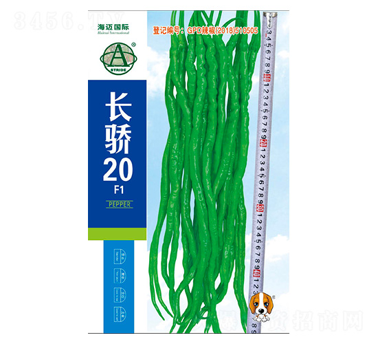 �L�20-�����N��-���~���H