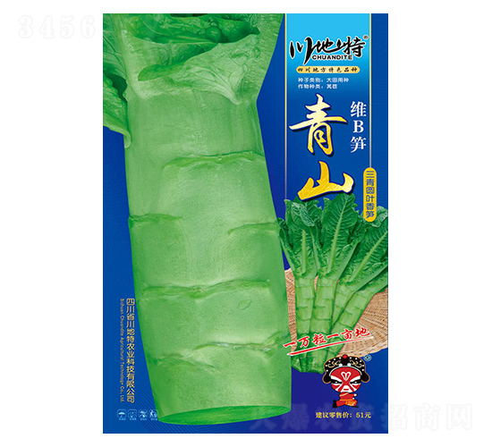 �SB�S��ɽ-��S�N��-������