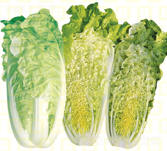 �����[����z�װײ�-�¸߽�z��121-��ײ˷N��-�¸߷N�I(y��)