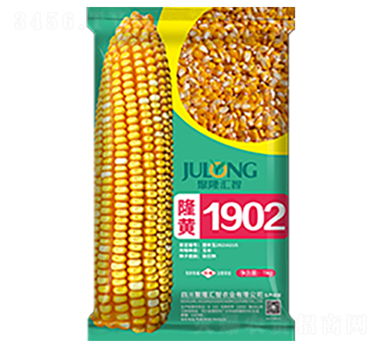 隆黃1902-玉米種子-聚隆匯智