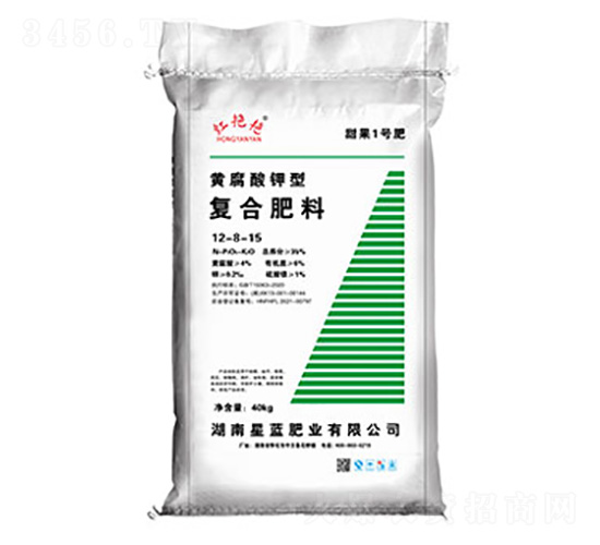 �S������܏ͺϷ���12-8-15-�t�G�G-���{�ʘI