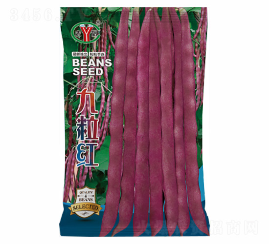 �����t-�Z���_