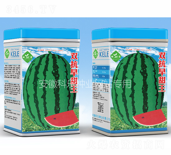 雙抗早甜王-科樂種業