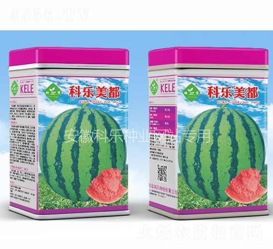 �Ƙ�����-�Ƙ��N�I