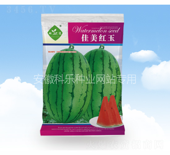 �����t��-�Ƙ��N�I