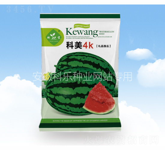 ����4K-�Ƙ��N�I