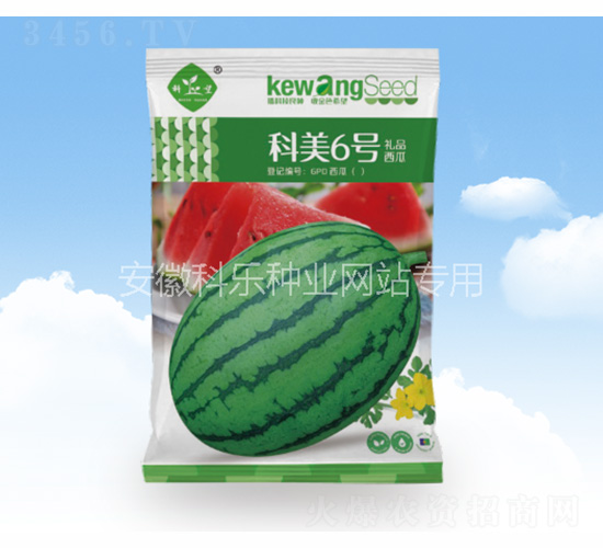 ����6̖-�Ƙ��N�I