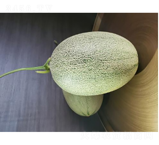 ������122-��ϷN��-�r�ƷN��