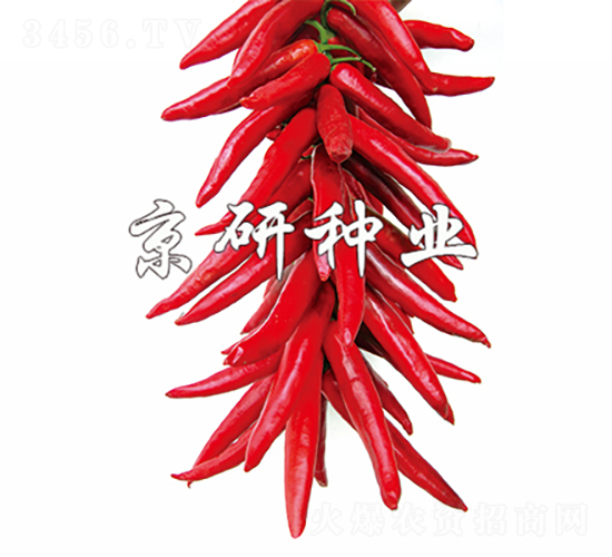 ����2̖-�����N��-���зN�I