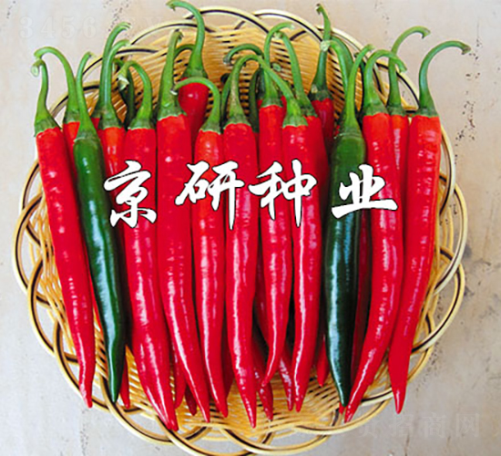 ����418-�����N��-���зN�I