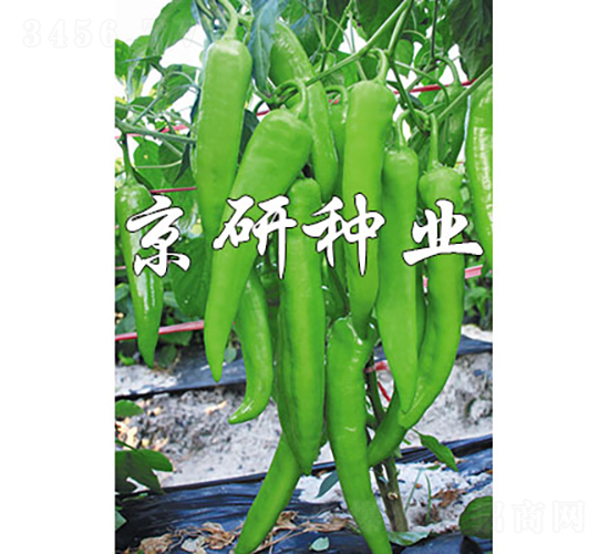 ����912-�����N��-���зN�I