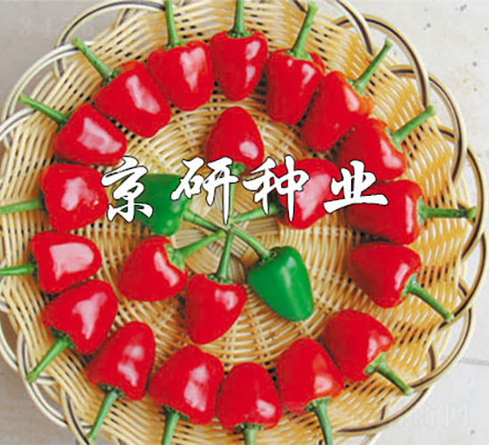 ����166-�����N��-���зN�I