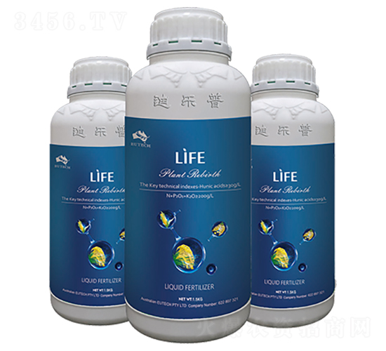 �M������I�B�ⶾ��-���R����-�Ϙ���