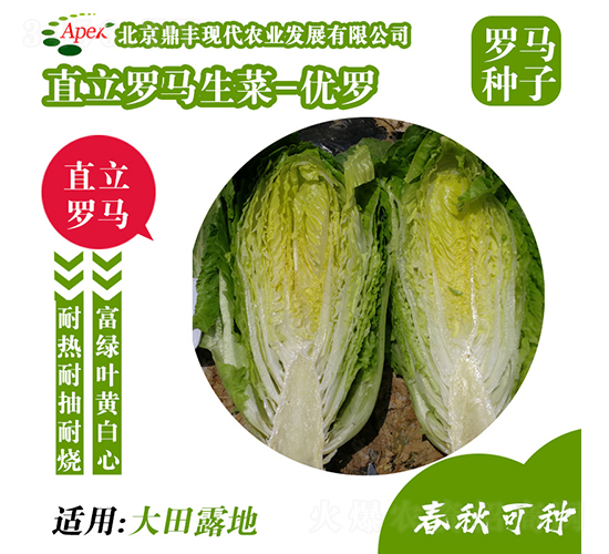 ���_-���˷N��-���S�r�I