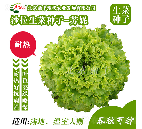 ����-���˷N��-���S�r�I