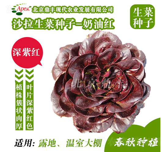 ���ͼt-���˷N��-���S�r�I