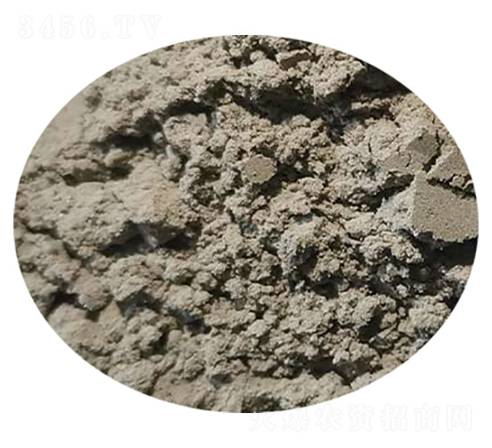 �����{�턩-���^����