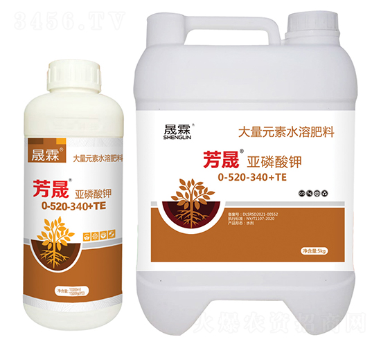 ���ɡ��������-��������