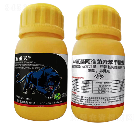 ���x���z�x����ˎ-������-Ȥ�r�r�I