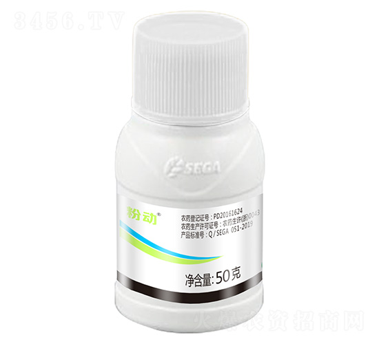 25%����-�ۄ�-����