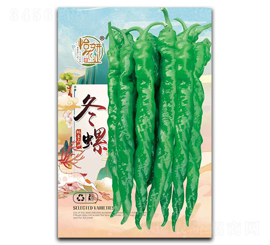 冬螺-辣椒種子-怡妍農業