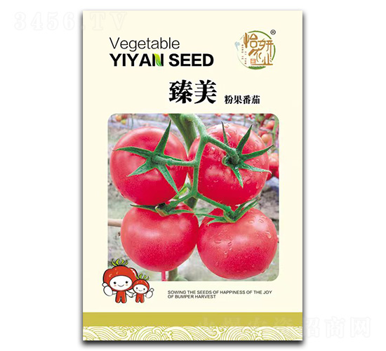 �����۹�����-���ѷN��-�����r�I(y��)