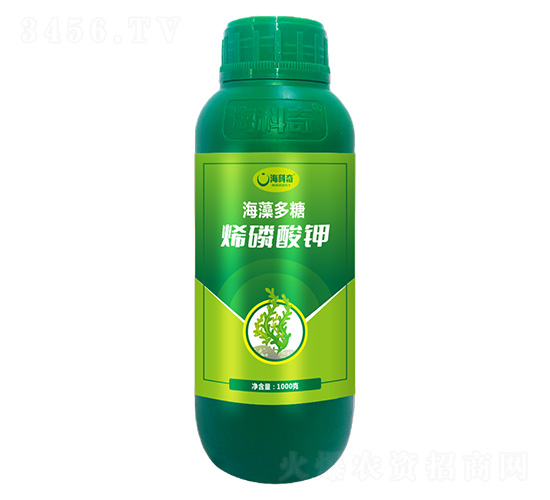 �������ϩ�����-������