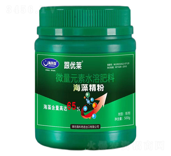 ���徫��-������