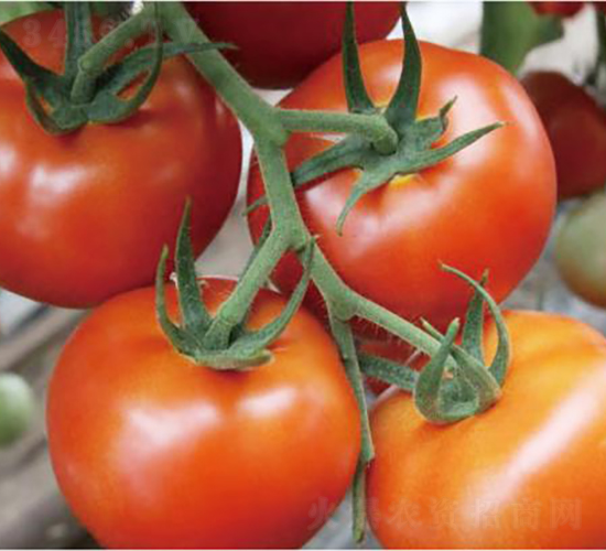 �hķ�t�\1̖-���ѷN��-�͝��r�I