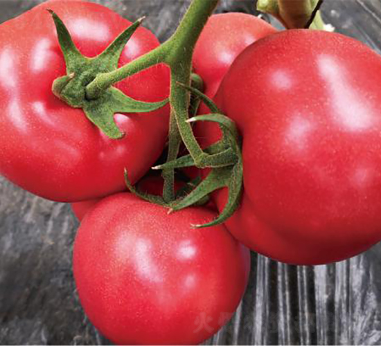 �hķ095-���ѷN��-�͝��r�I