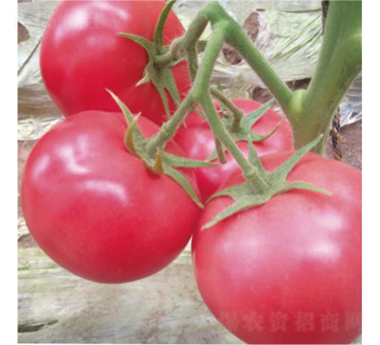 �hķ1350-���ѷN��-�͝��r�I