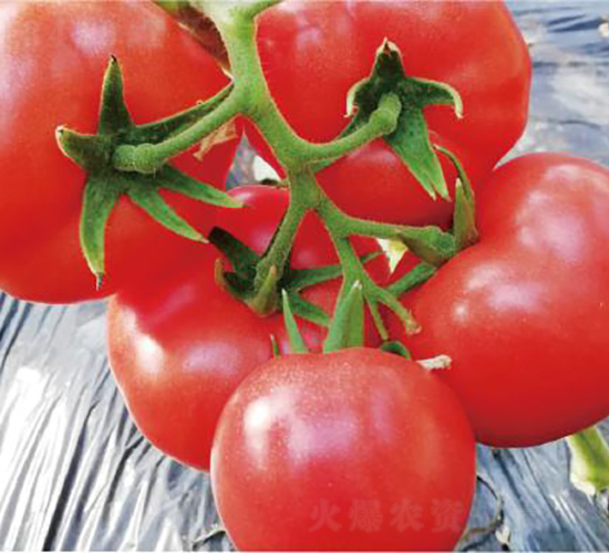 �hķ1377-���ѷN��-�͝��r�I