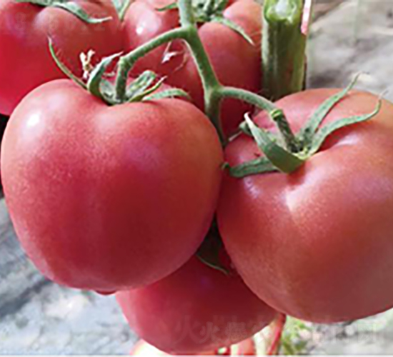 �hķ1157-���ѷN��-�͝��r�I