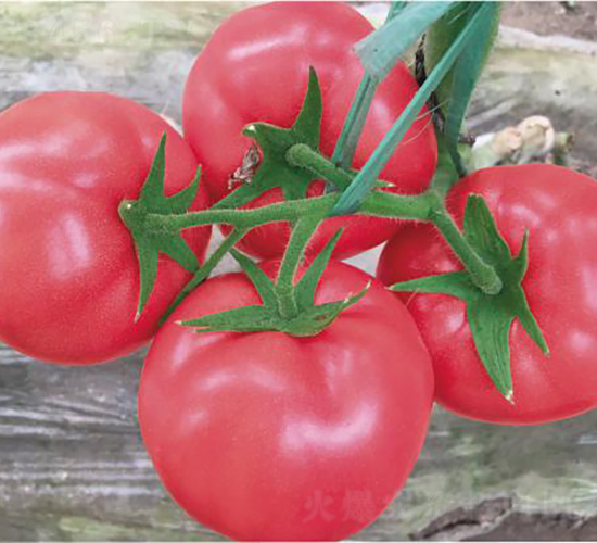 �hķ1601-���ѷN��-�͝��r�I