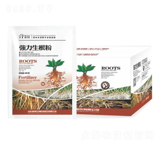 ����������-嫰�����