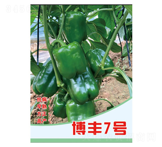 �����N��-���S7̖-���S�r�I