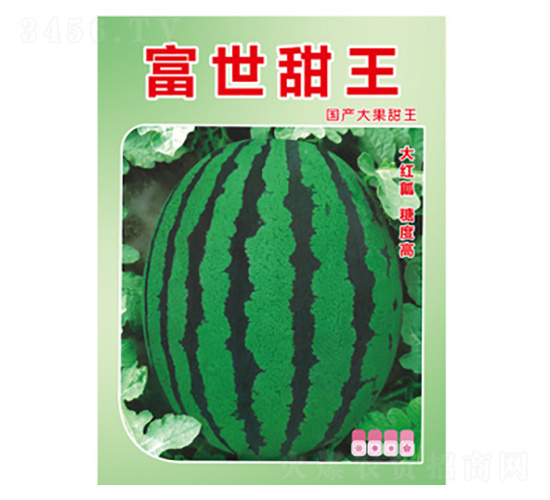 ���ϷN��-��������-���S�r�I