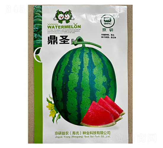 西瓜種子-鼎圣F1-尚豐農業