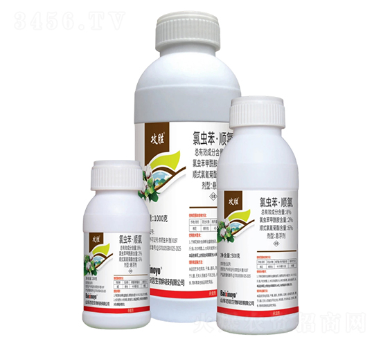 8%���x������ȑҸ���-����-��������