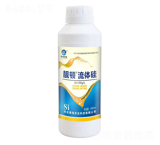 �n�D���w��-��������