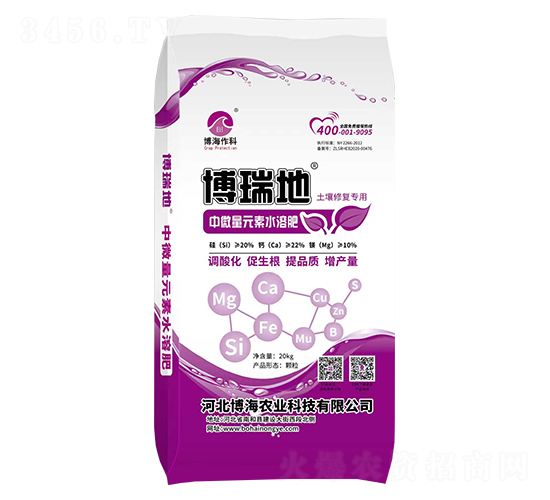 ���}�V�����{�턩-�����-��������