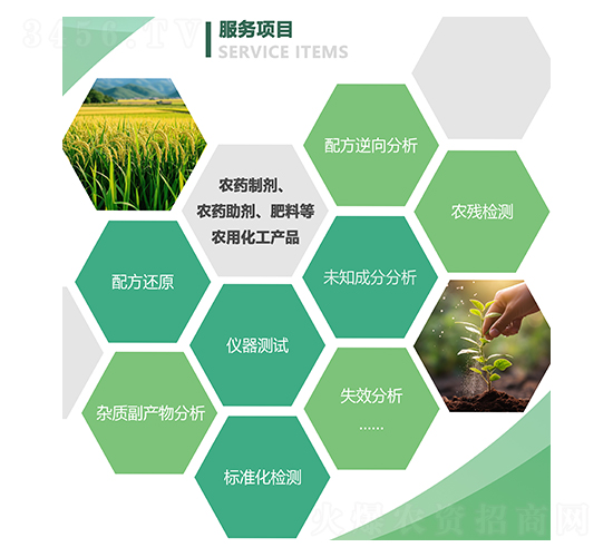 �����Ŀ-�²���