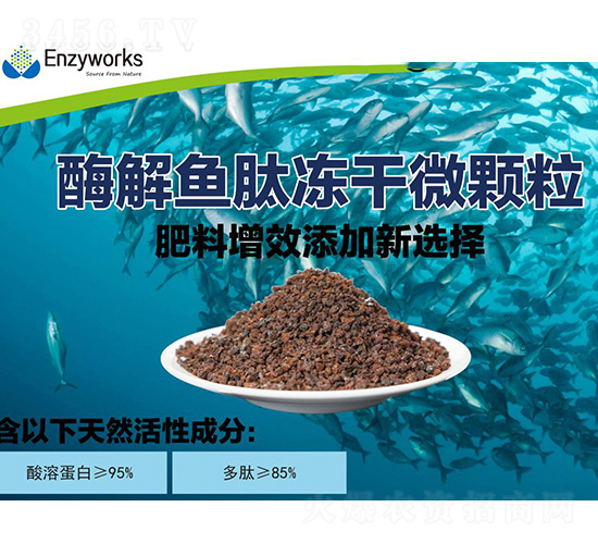 ø���~�ă���΢�w��-��������