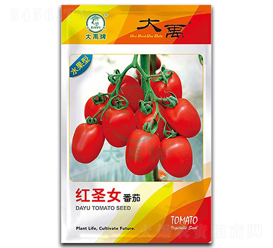 �tʥŮ���ѷN��-�����N�I