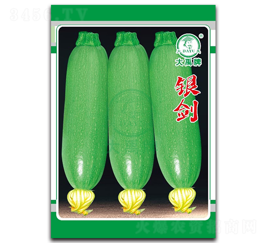 �y�������J�N��-�����N�I