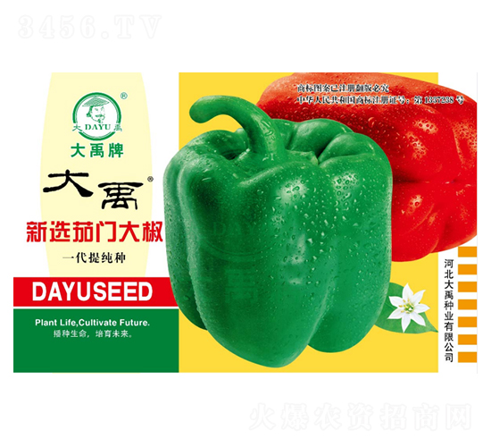 新選茄門大椒-辣椒種子-大禹種業