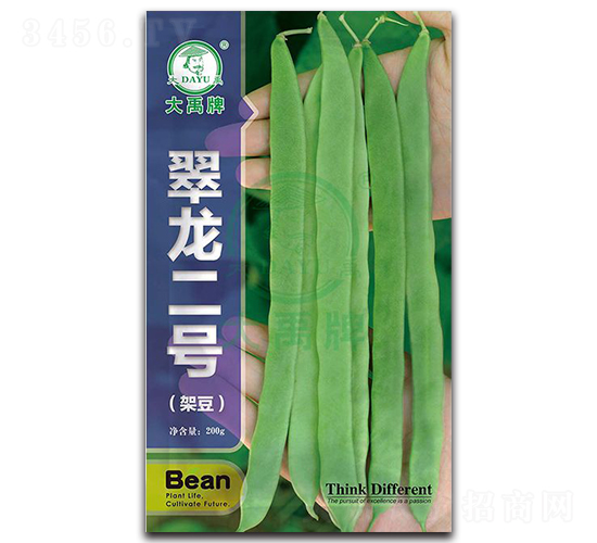 ������̖-�ܶ��N��-�����N�I(y��)