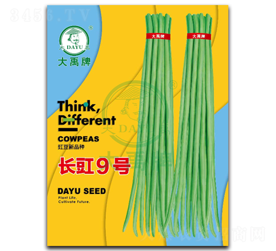 �L��9̖-�����N��-�����N�I(y��)