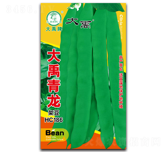 ��������-�ܶ��N��-�����N�I