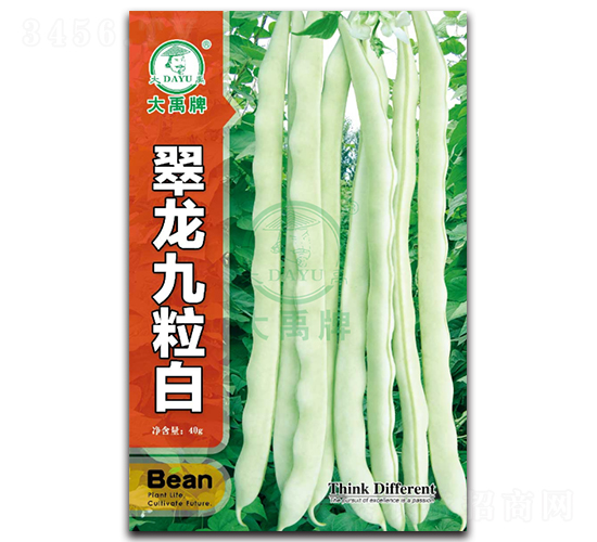 ����������-�����N��-�����N�I